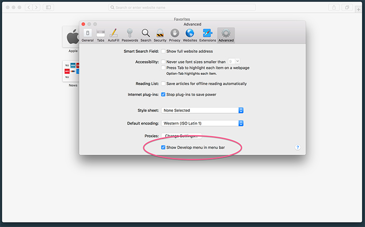 Safari show develop menu