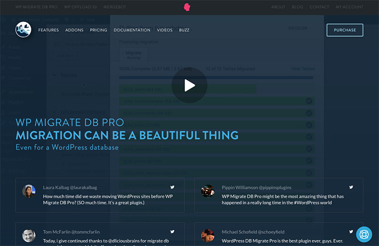 WP Migrate DB Pro